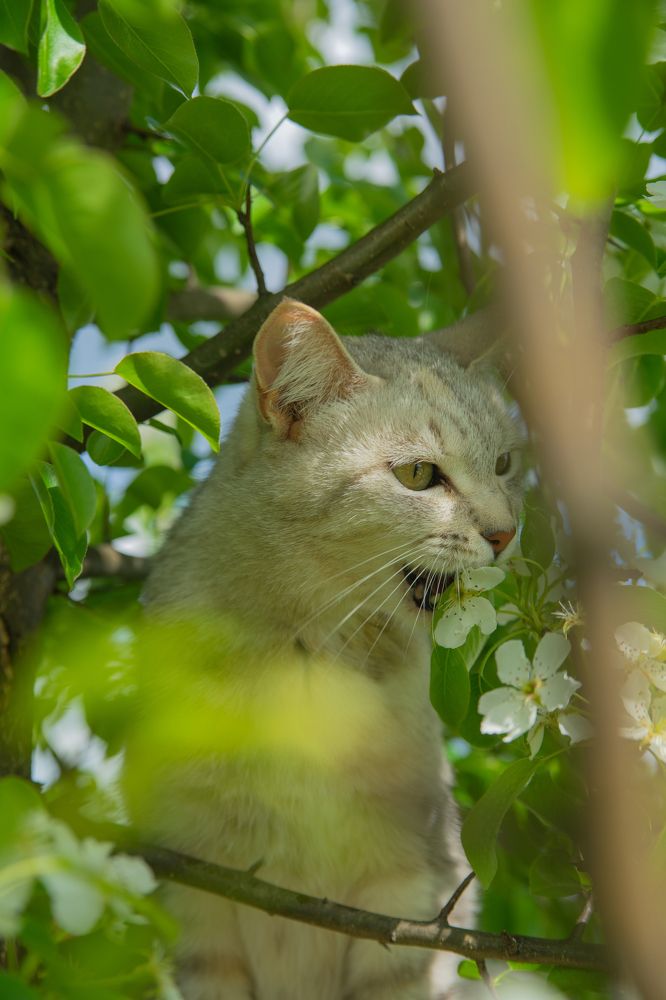 Photograph by Евгений Калагаев
