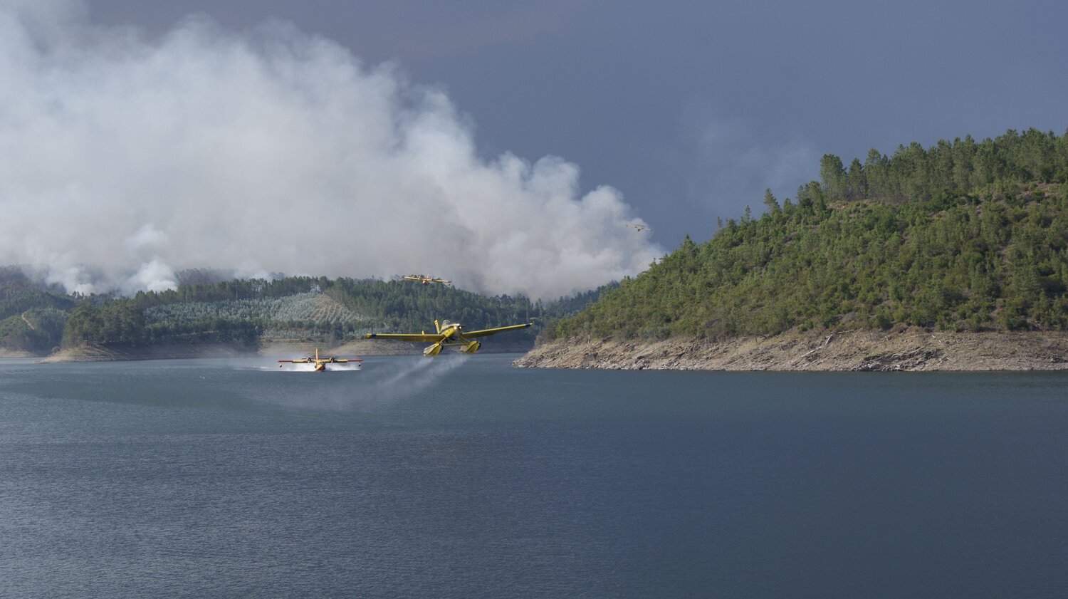 Photo #9788946