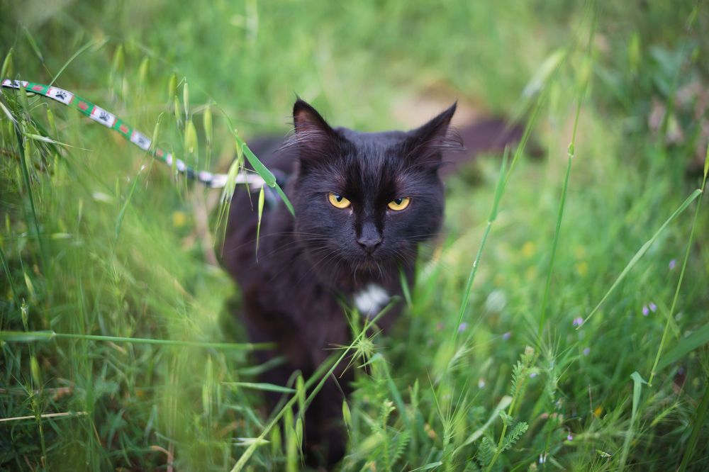 Photograph by Дмитрий Цыпляев