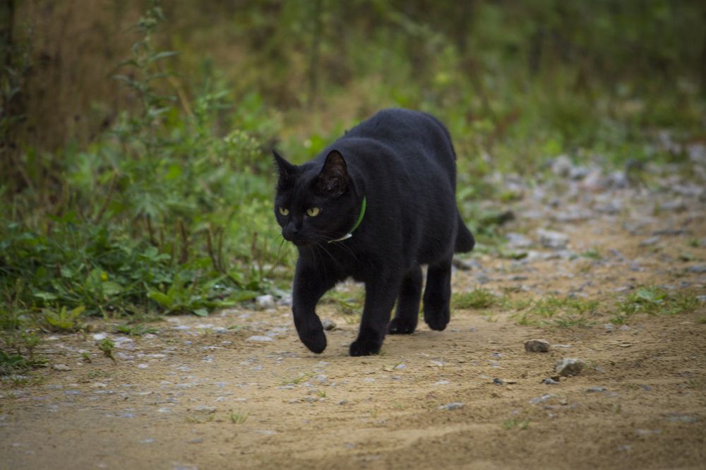 Photograph by Вячеслав Булатов