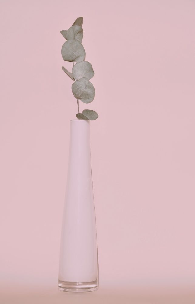 Photograph by Гуляева Светлана