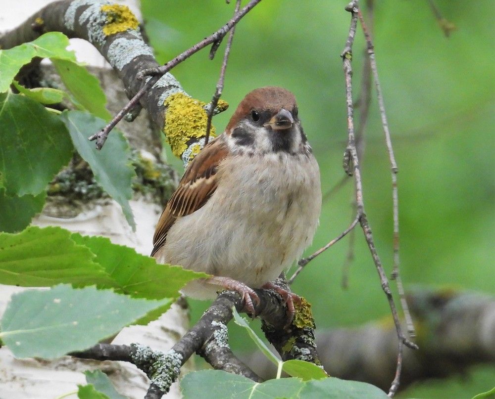 Photograph by Владимир Джерихов