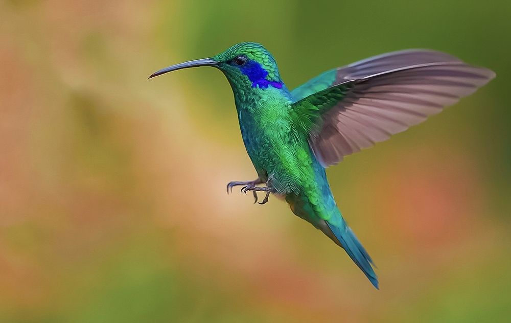 Photograph by David Manusevich