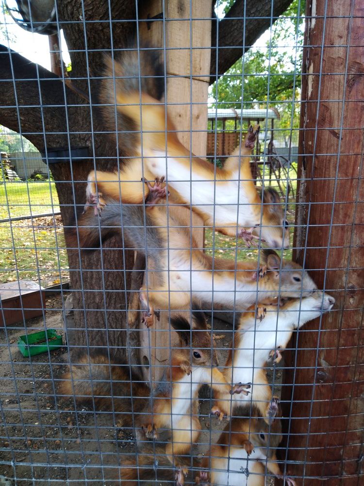 Photograph by Янина Милош