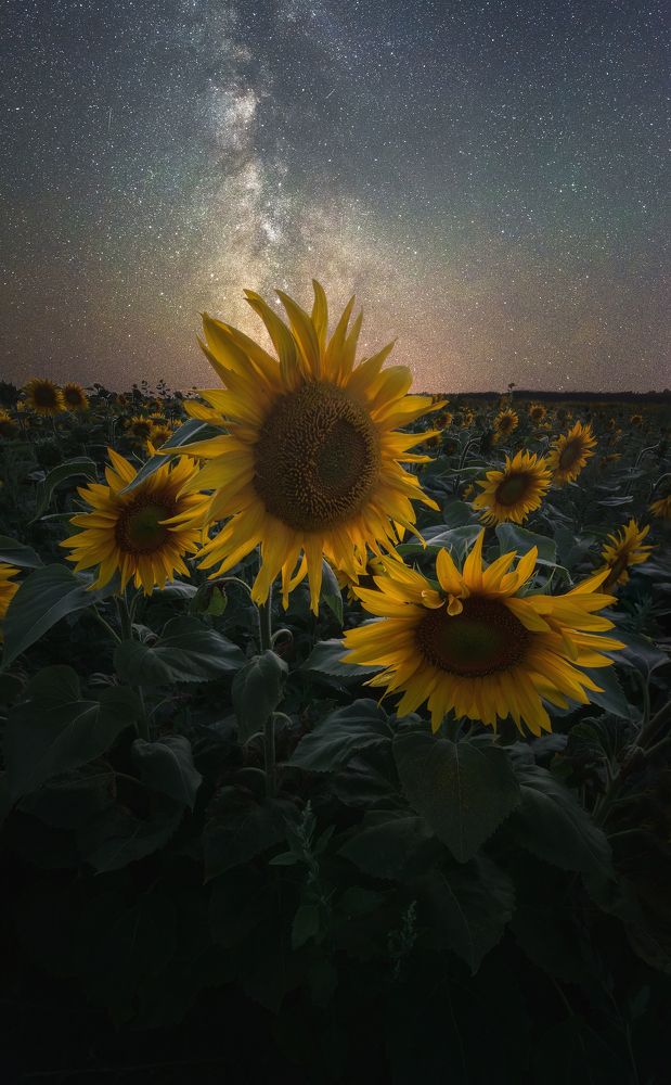 Под светом Млечного Пути