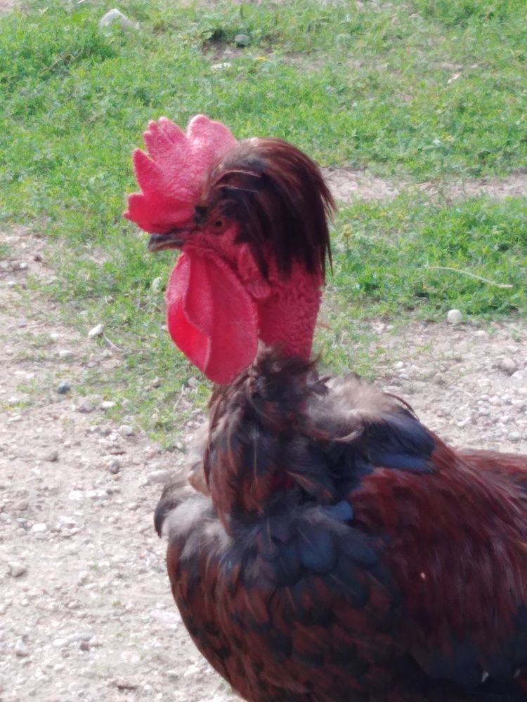 Photograph by Янина Милош