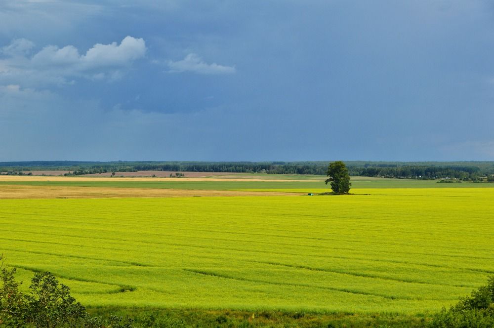 Photograph by Анна Богданова