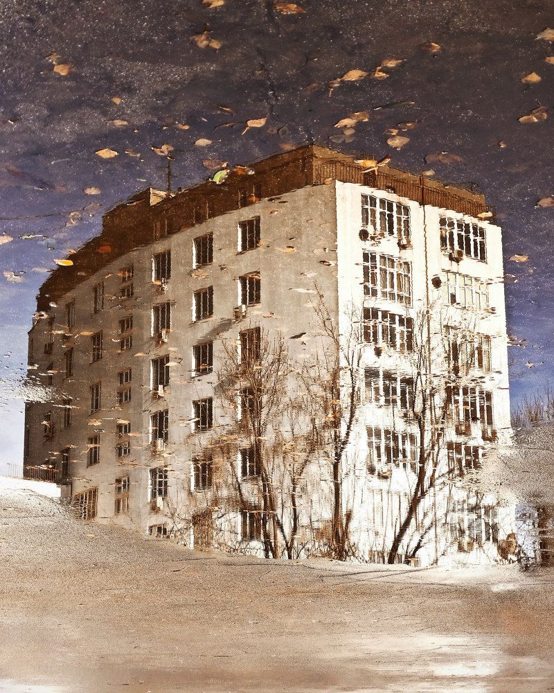 Photograph by Михаил Харитонычев