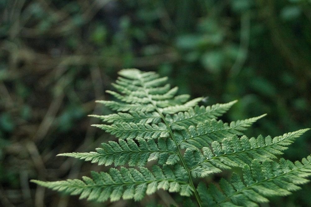 Photograph by Анна Богданова