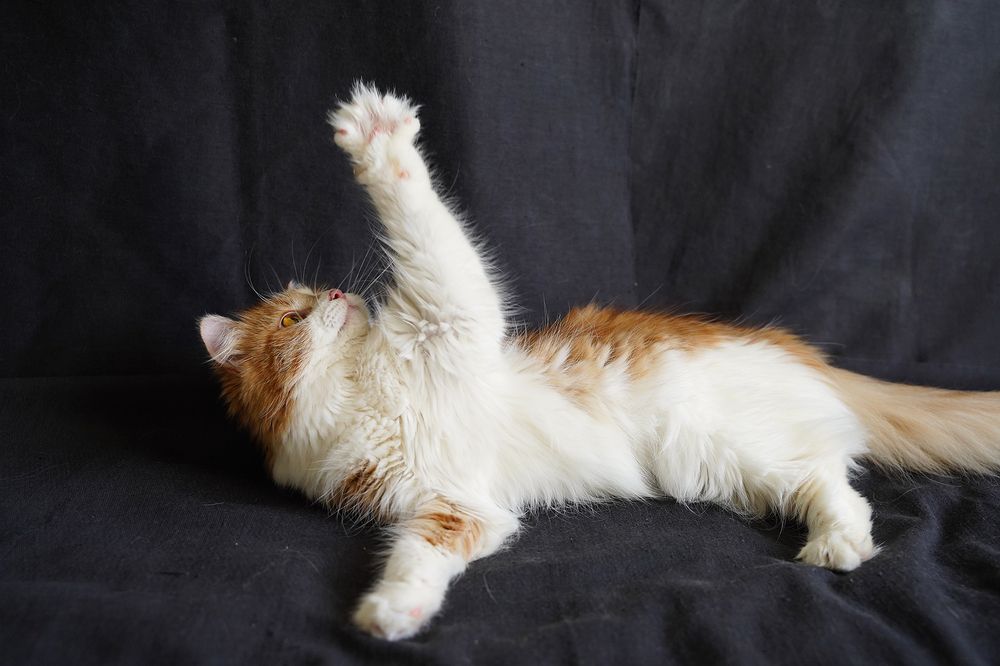 Игра Карамельки