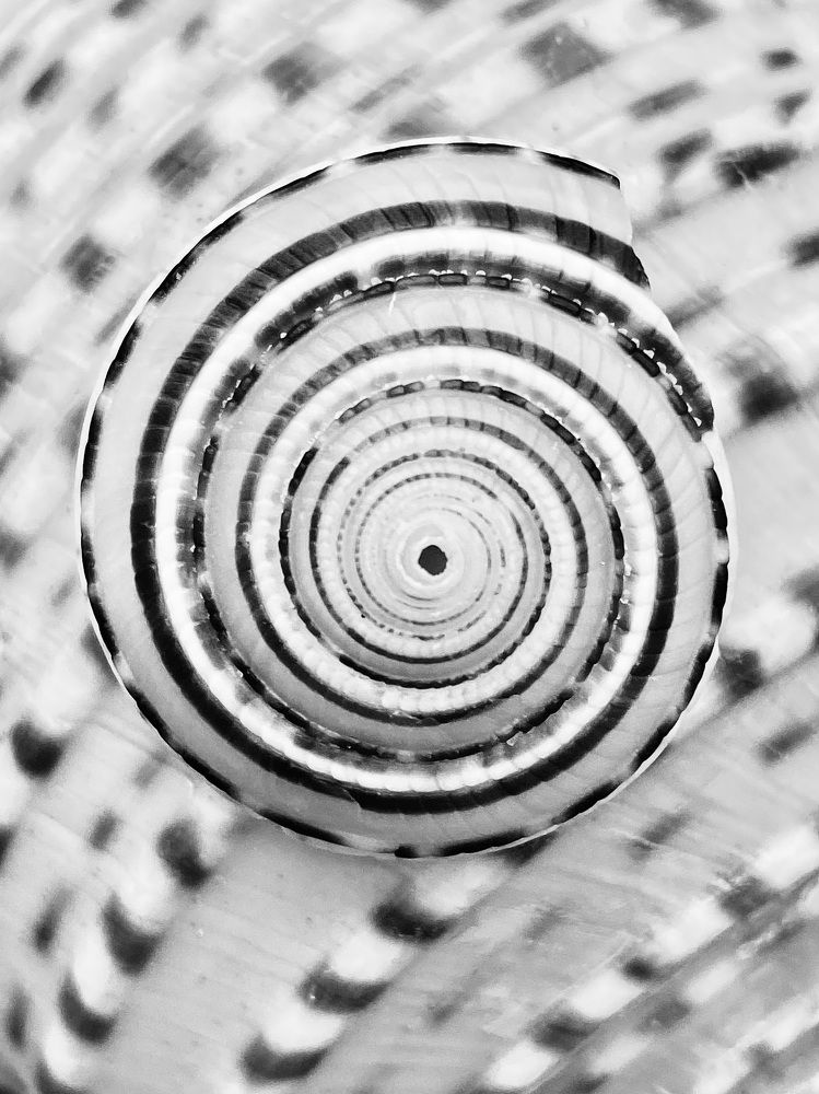 Фотография автора ГУЗАЛИЯ ГАНИЕВА