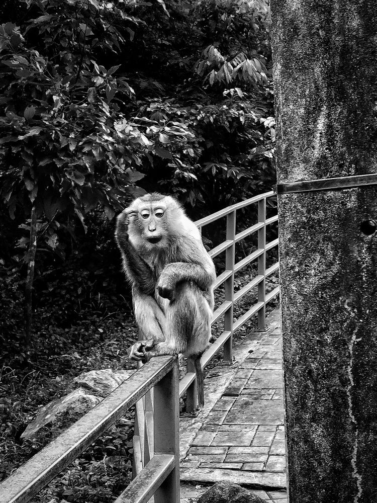 Фотография автора Julie Mishka