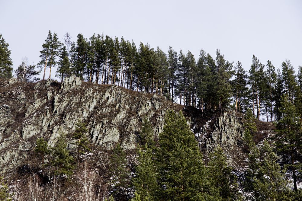 Photograph by Светлана Козлова