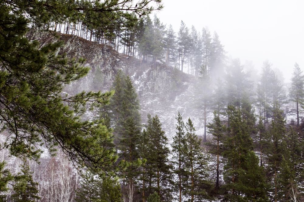 Photograph by Светлана Козлова