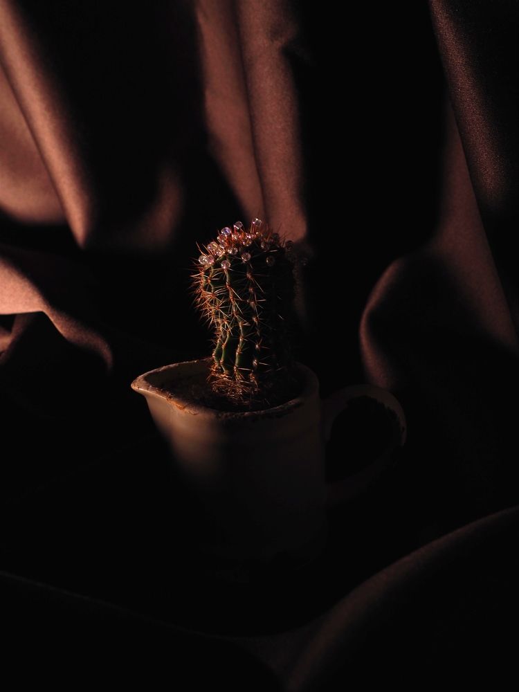 Photograph by Светлана Петренко