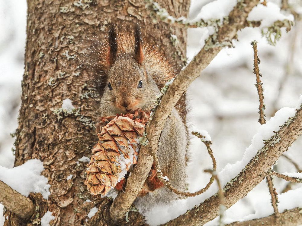 Мое, все мое!