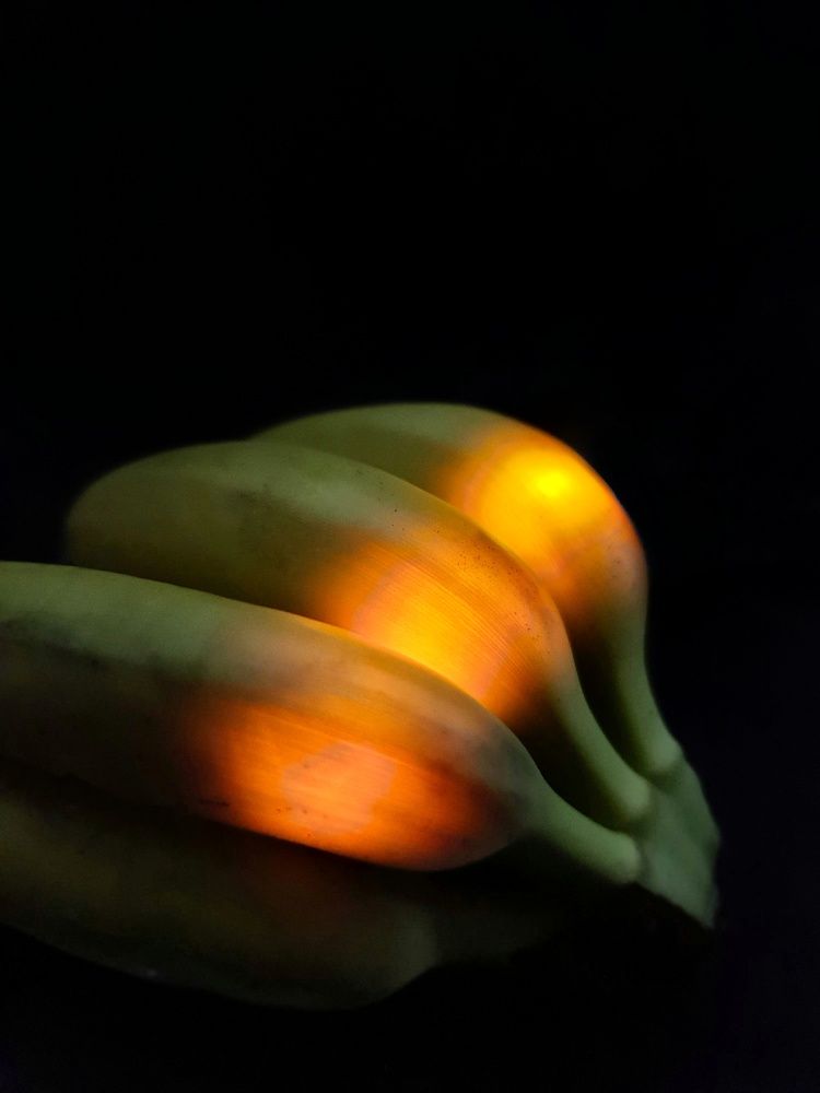 Photograph by Светлана Смирнова