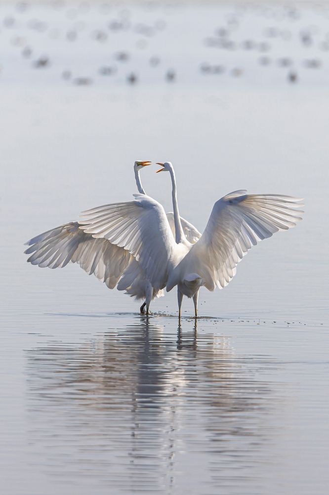 Photograph by Александр Ильин