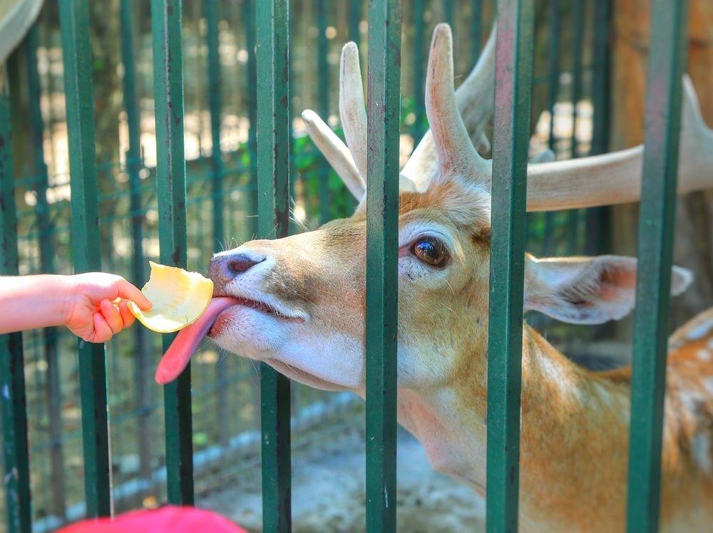 Photograph by Мария Андреева