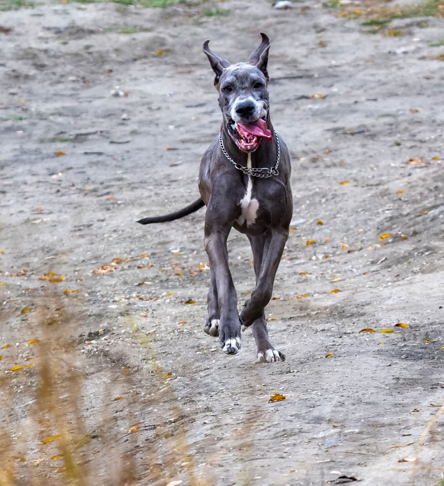 Photograph by Ольга Доловова