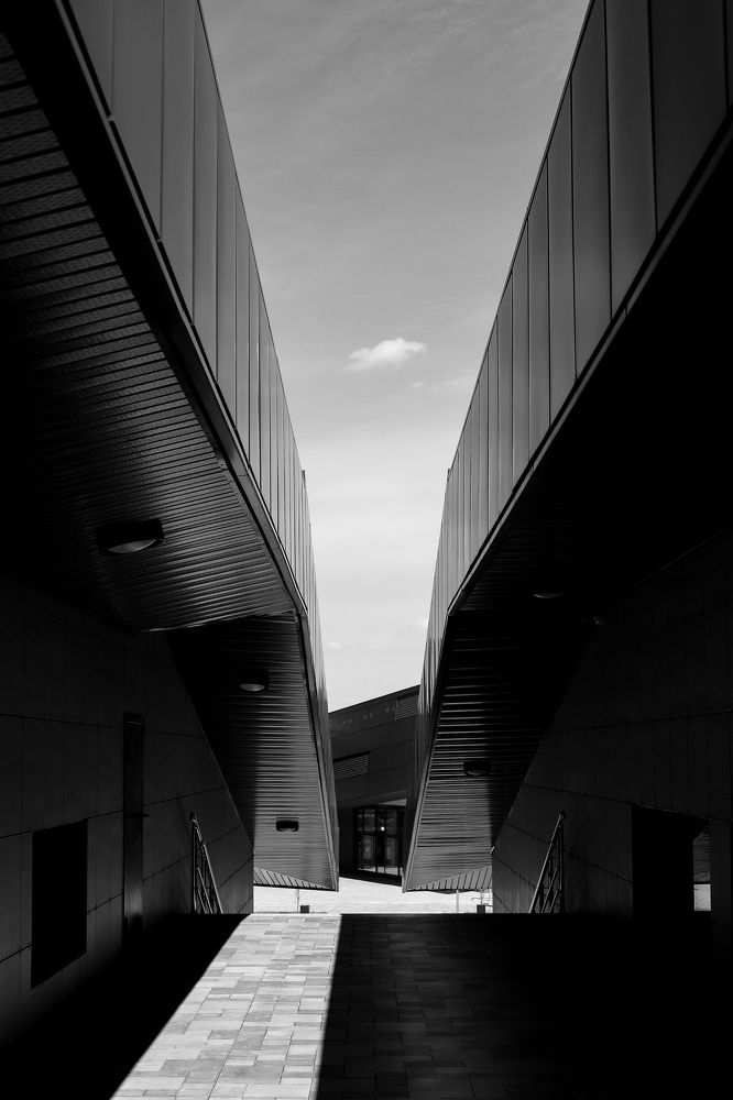 Photograph by Анна Шевляк