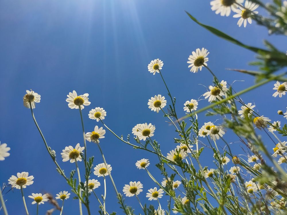 Photograph by Сергей Конюшенко