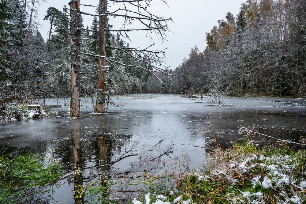 Фотография автора Väle