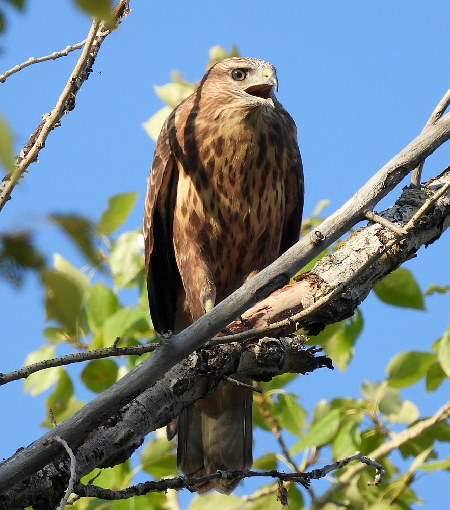 Photograph by Олег Юмашев