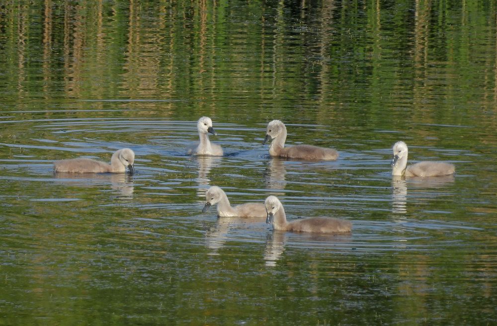 Photograph by Олег Юмашев