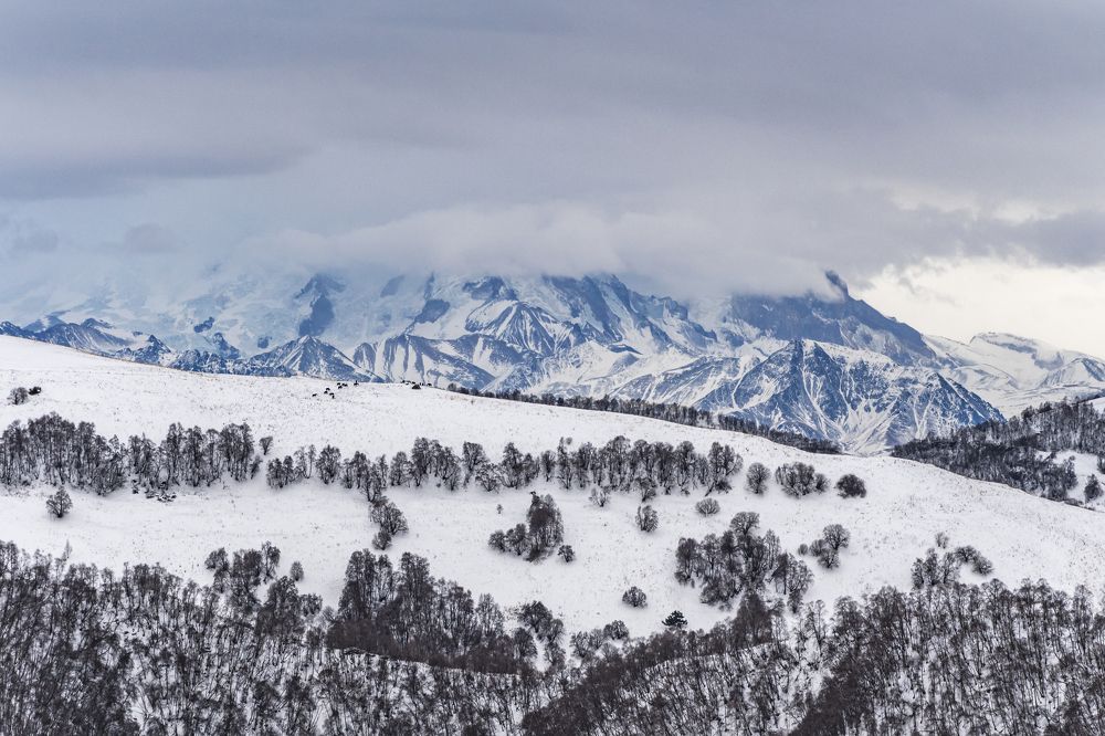 Кавказские горы