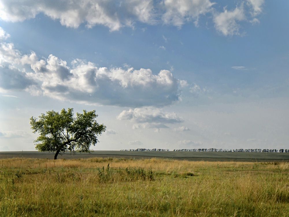 Photograph by Наталья Бульц