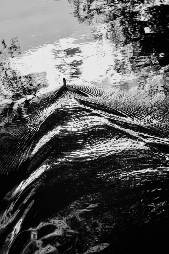 Photograph by Наталья Бульц