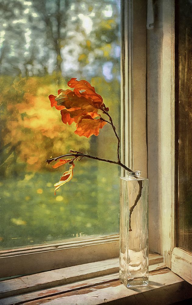 Photograph by Олег Расторгуев