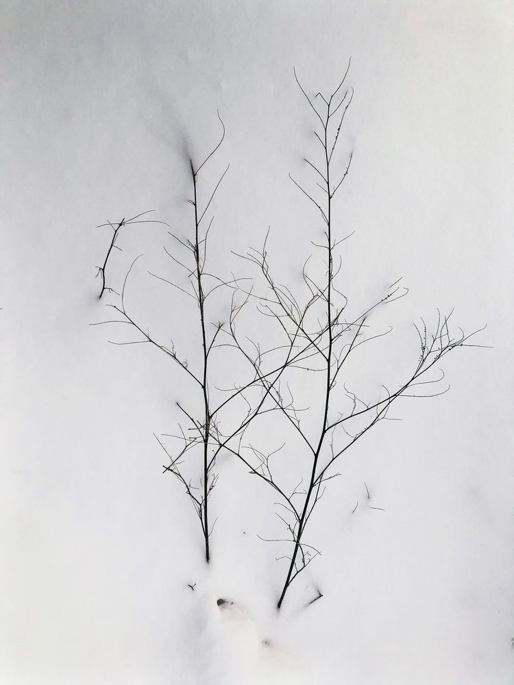 Photograph by Kaiser Sozo