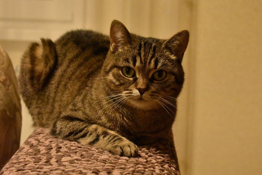 Меня зовут Бася