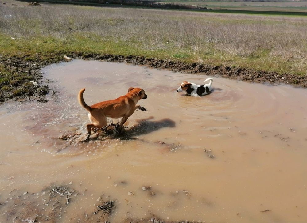 На баня в локвата