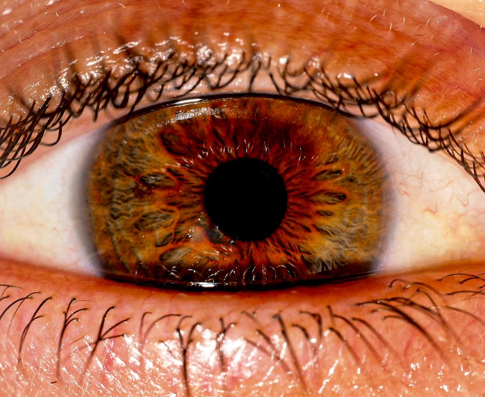 Photograph by Serdar AVCI