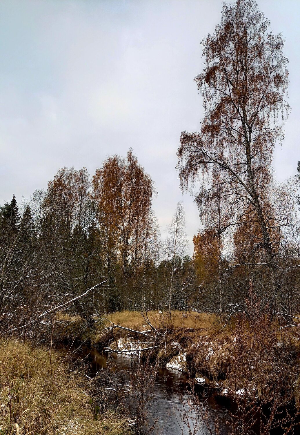 Photo #9789749