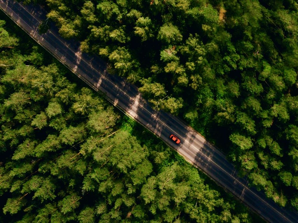 Photograph by Никита Петров