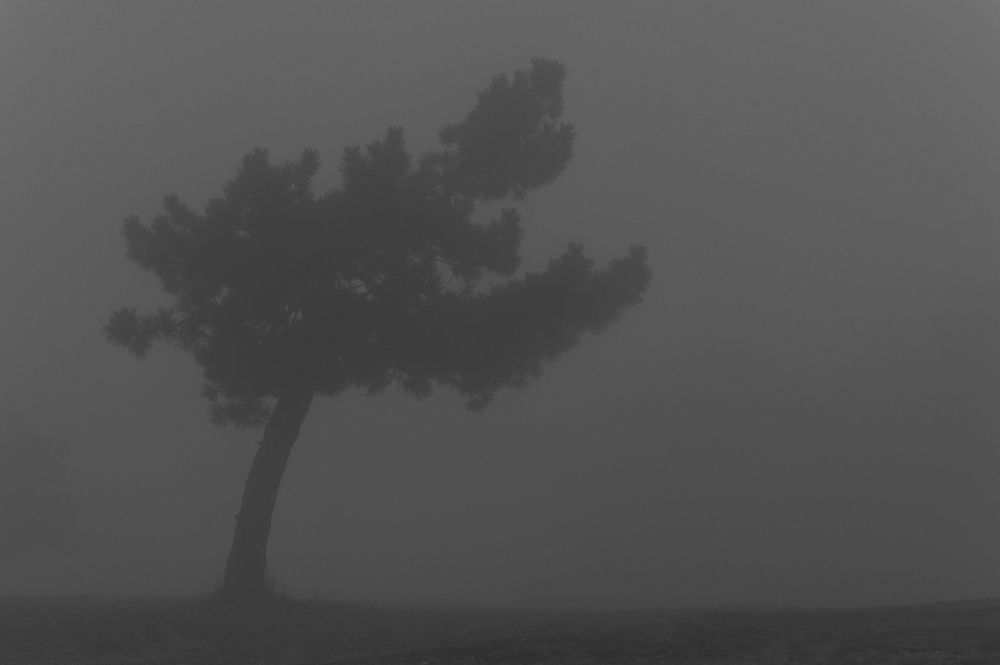 Photograph by Оксана Ребристая