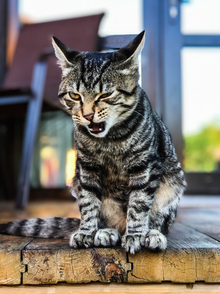 Photograph by Svetlana Tolkunova