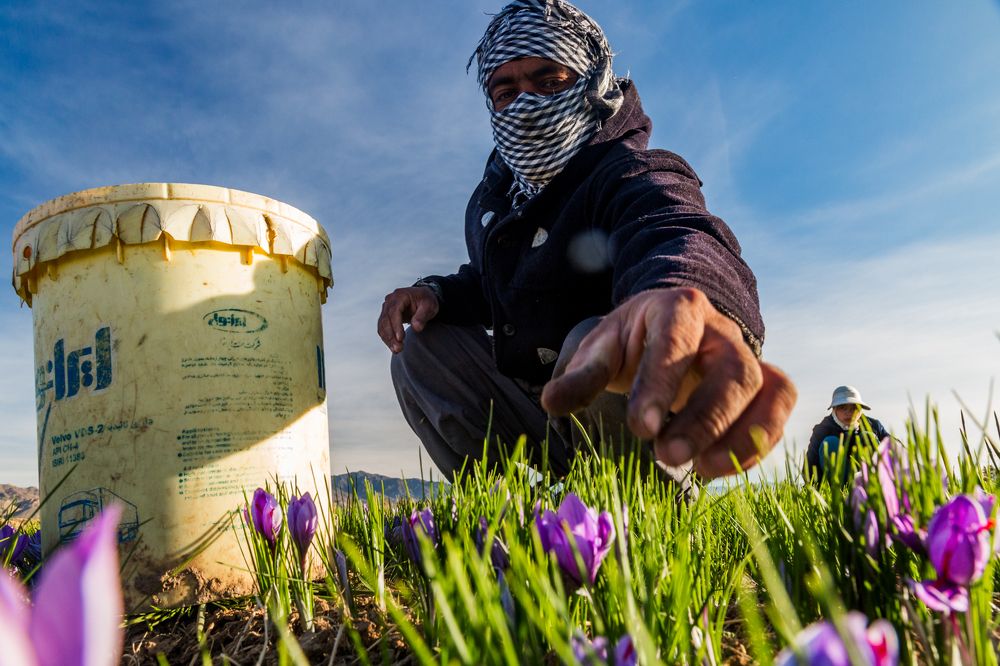 Photograph by seyed mostafa yousefi