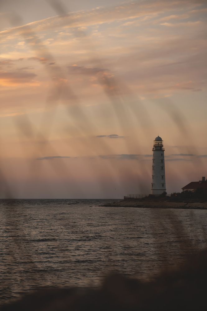 Photograph by Оксана Ребристая