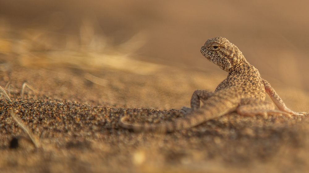 Photograph by seyed mostafa yousefi