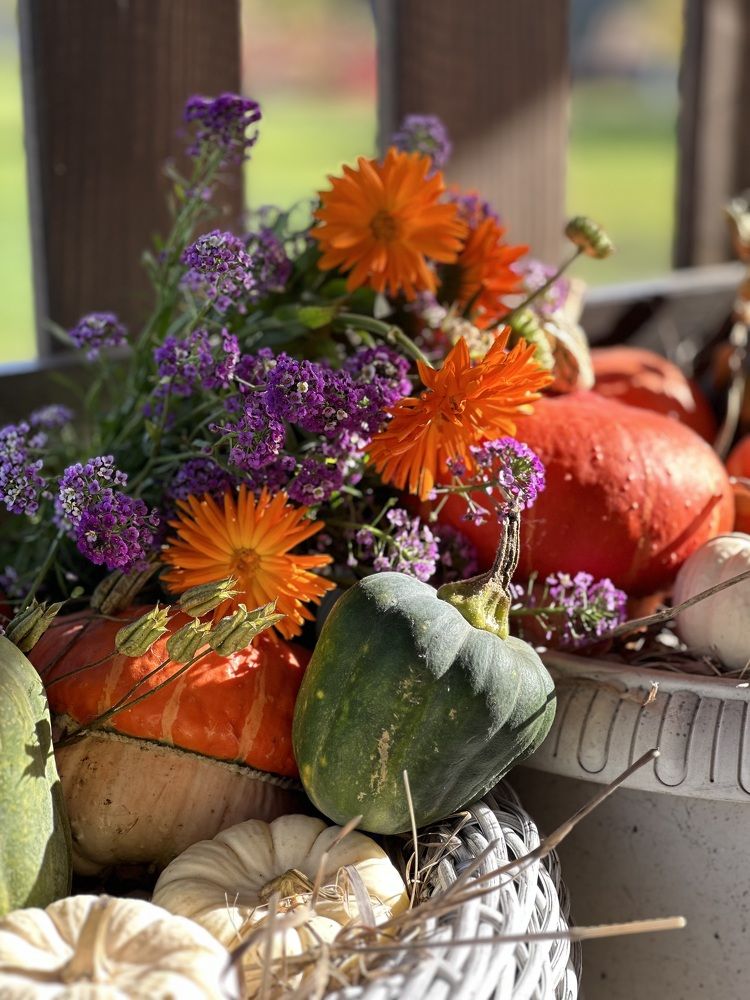 Photograph by Svetlana Tolkunova