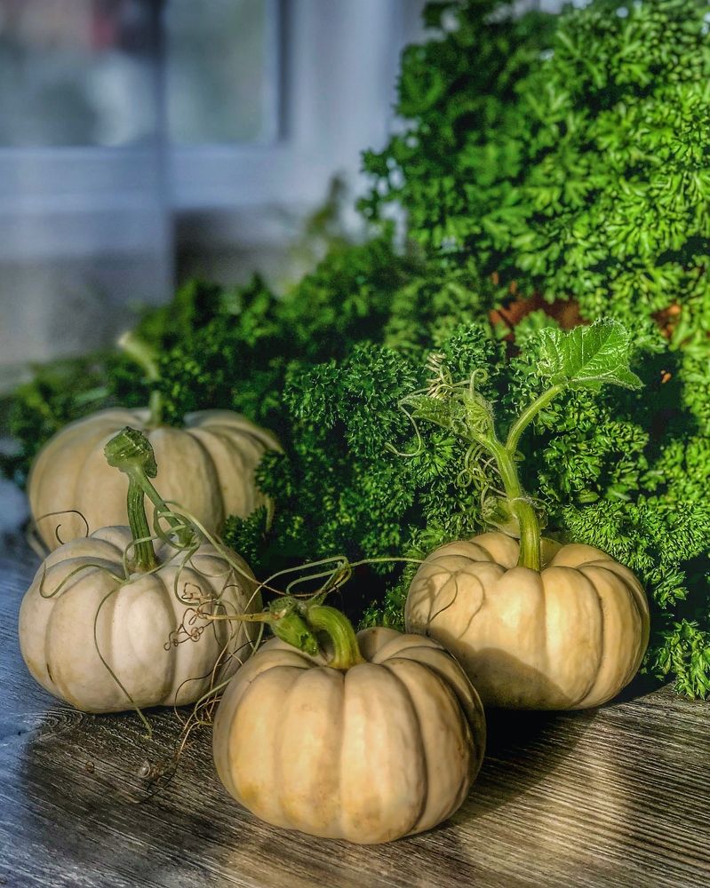 Photograph by Svetlana Tolkunova