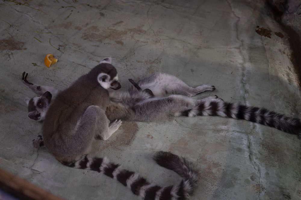 Photograph by Олеся Грекова