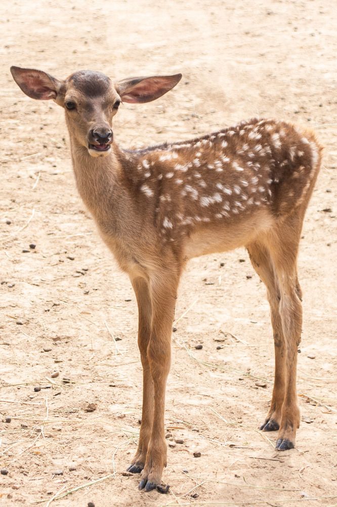 Photograph by Алексей Борисов