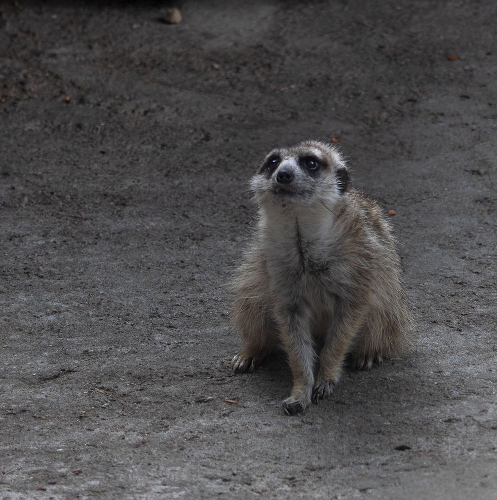 Photograph by Олеся Грекова