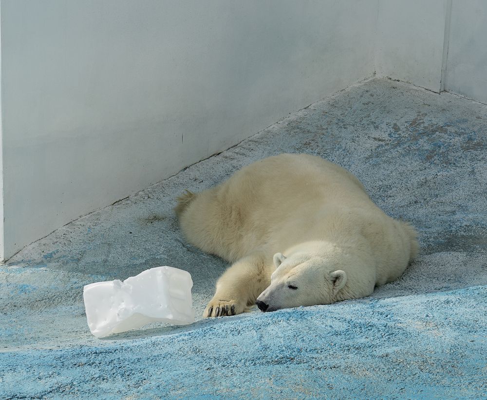 Photograph by Олеся Грекова